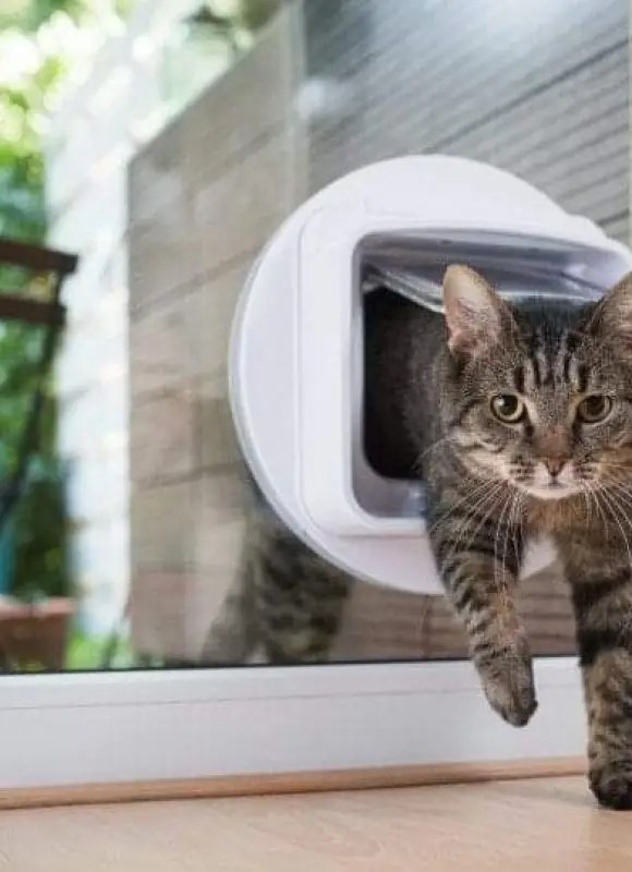 Window Installations